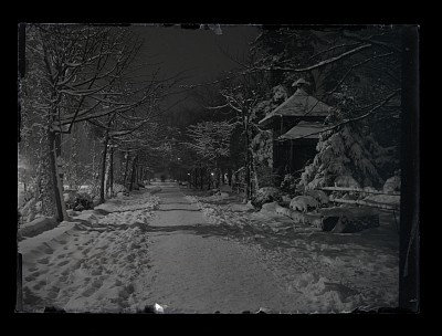 Alee din Parcul Cișmigiu noaptea