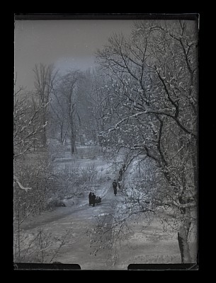 Plimbare într-un parc bucureștean