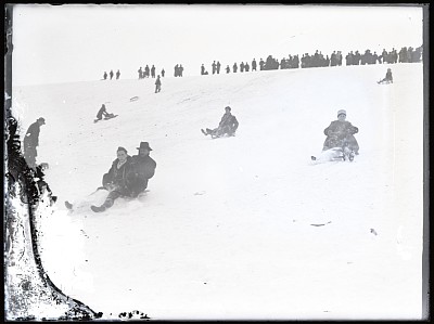 La săniuș