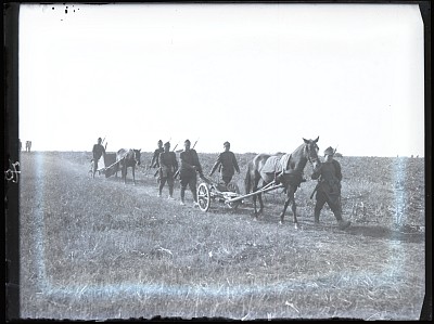 Transport de tun