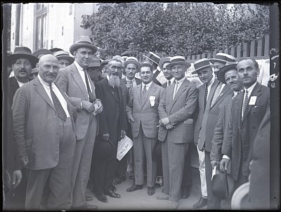 Grup de alegători