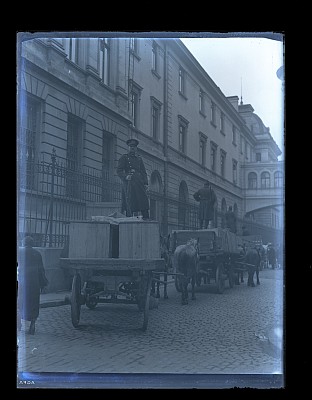 Păzirea mărfurilor