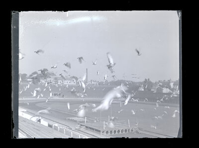 Fotografie necatalogată, cota BU-FD-01073-9-01007-0008