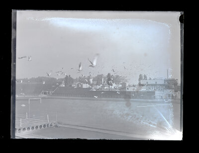 Fotografie necatalogată, cota BU-FD-01073-9-01007-0011