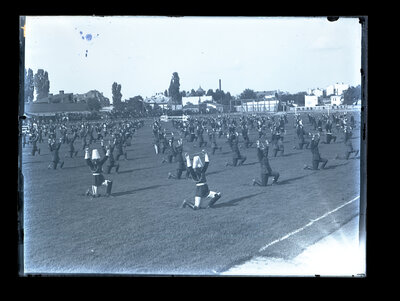 Fotografie necatalogată, cota BU-FD-01073-9-01011-0009