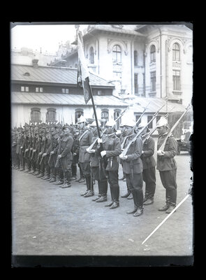 Fotografie necatalogată, cota BU-FD-01073-9-01018-0011