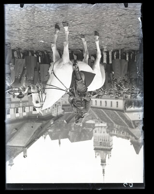 Fotografie necatalogată, cota BU-FD-01073-9-01026-0016