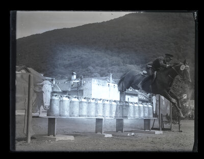 Fotografie necatalogată, cota BU-FD-01073-9-01039-0010
