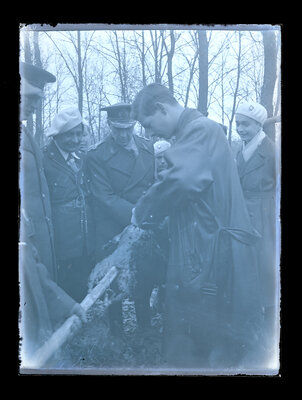 Fotografie necatalogată, cota BU-FD-01073-9-01040-0012