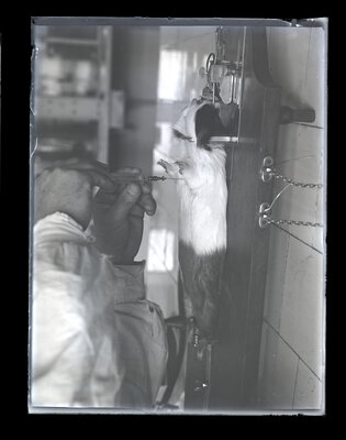 Fotografie necatalogată, cota BU-FD-01073-9-01044-0002
