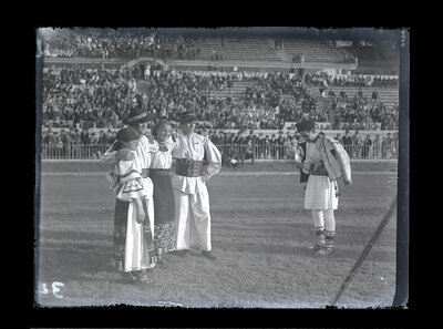 Fotografie necatalogată, cota BU-FD-01073-9-01044-0011