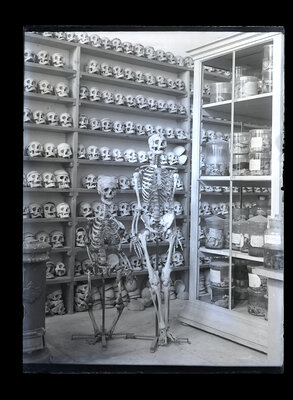 Fotografie necatalogată, cota BU-FD-01073-9-01044-0014