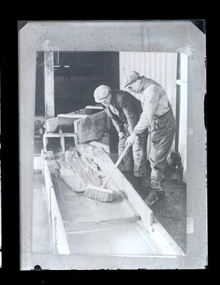 Fotografie necatalogată, cota BU-FD-01073-9-01046-0009