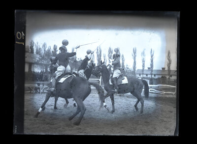 Fotografie necatalogată, cota BU-FD-01073-9-01050-0010