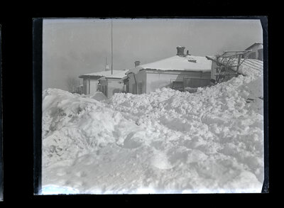 Fotografie necatalogată, cota BU-FD-01073-9-01051-0004