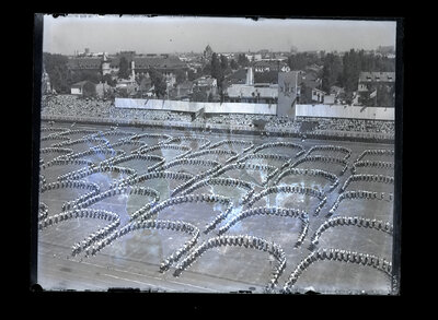Fotografie necatalogată, cota BU-FD-01073-9-01051-0007