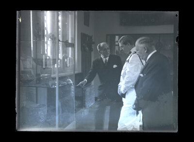 Fotografie necatalogată, cota BU-FD-01073-9-01051-0008