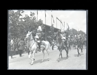 Fotografie necatalogată, cota BU-FD-01073-9-01055-0001