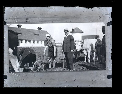 Fotografie necatalogată, cota BU-FD-01073-9-01062-0007