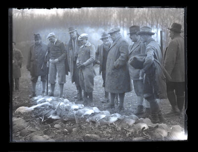 Fotografie necatalogată, cota BU-FD-01073-9-01070-0012