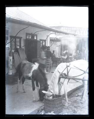Fotografie necatalogată, cota BU-FD-01073-9-01075-0001
