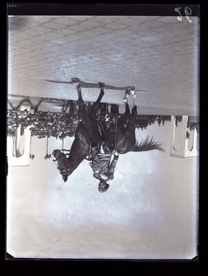 Fotografie necatalogată, cota BU-FD-01073-9-01089-0017