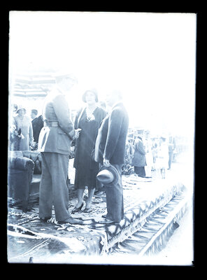 Fotografie necatalogată, cota BU-FD-01073-9-01090-0010