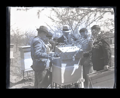 Fotografie necatalogată, cota BU-FD-01073-9-01091-0011