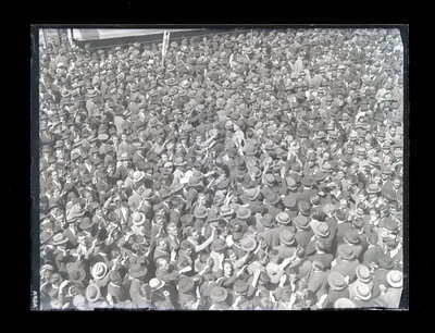 Fotografie necatalogată, cota BU-FD-01073-9-01100-0010