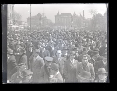 Fotografie necatalogată, cota BU-FD-01073-9-01100-0011