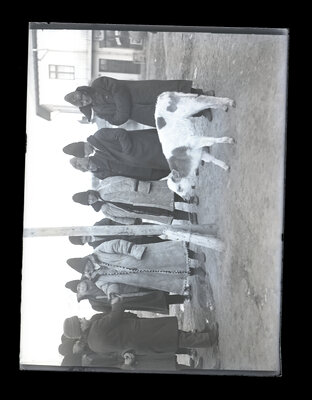 Fotografie necatalogată, cota BU-FD-01073-9-01103-0008