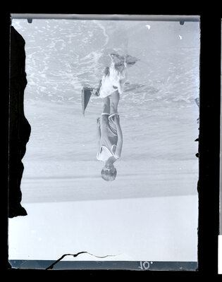 Fotografie necatalogată, cota BU-FD-01073-9-01106-0010