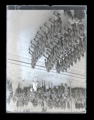 Fotografie necatalogată, cota BU-FD-01073-9-01108-0001