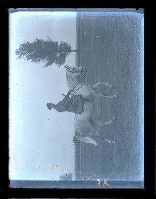 Fotografie necatalogată, cota BU-FD-01073-9-01108-0005