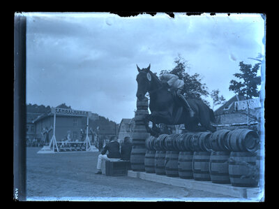 Fotografie necatalogată, cota BU-FD-01073-9-01113-0003