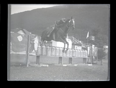 Fotografie necatalogată, cota BU-FD-01073-9-01113-0007