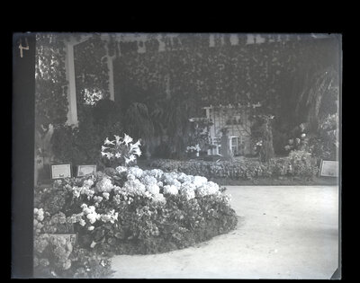 Fotografie necatalogată, cota BU-FD-01073-9-01119-0011