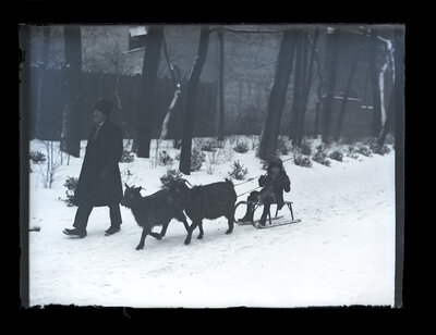 Fotografie necatalogată, cota BU-FD-01073-9-01120-0006