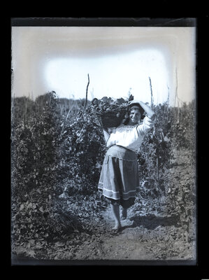 Fotografie necatalogată, cota BU-FD-01073-9-01121-0001