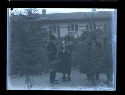 Fotografie necatalogată, cota BU-FD-01073-9-01121-0006