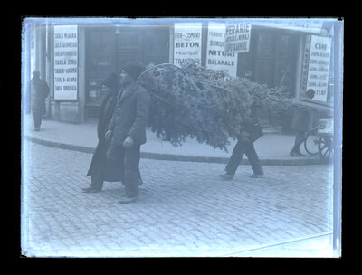 Fotografie necatalogată, cota BU-FD-01073-9-01121-0007