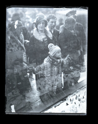 Fotografie necatalogată, cota BU-FD-01073-9-01121-0015