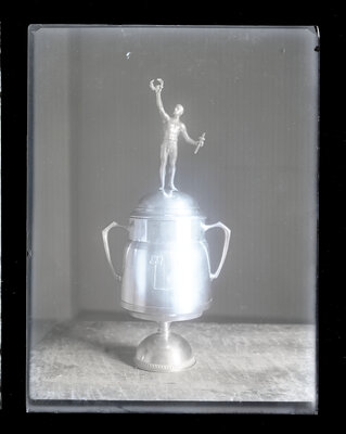 Fotografie necatalogată, cota BU-FD-01073-9-01122-0009