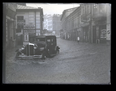 Fotografie necatalogată, cota BU-FD-01073-9-01123-0009