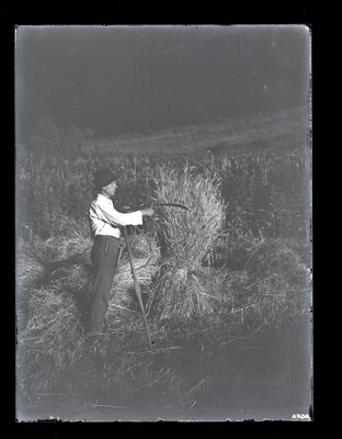 Fotografie necatalogată, cota BU-FD-01073-9-01125-0017