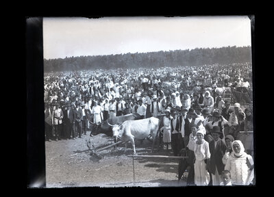 Fotografie necatalogată, cota BU-FD-01073-9-01125-0018