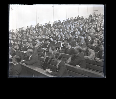 Fotografie necatalogată, cota BU-FD-01073-9-01125-0019