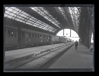 Fotografie necatalogată, cota BU-FD-01073-9-01128-0003
