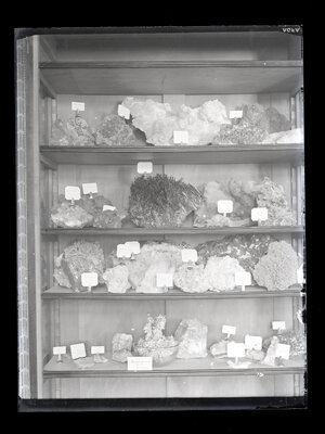 Fotografie necatalogată, cota BU-FD-01073-9-01129-0010