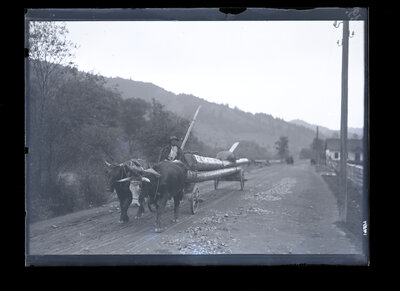 Fotografie necatalogată, cota BU-FD-01073-9-01129-0011